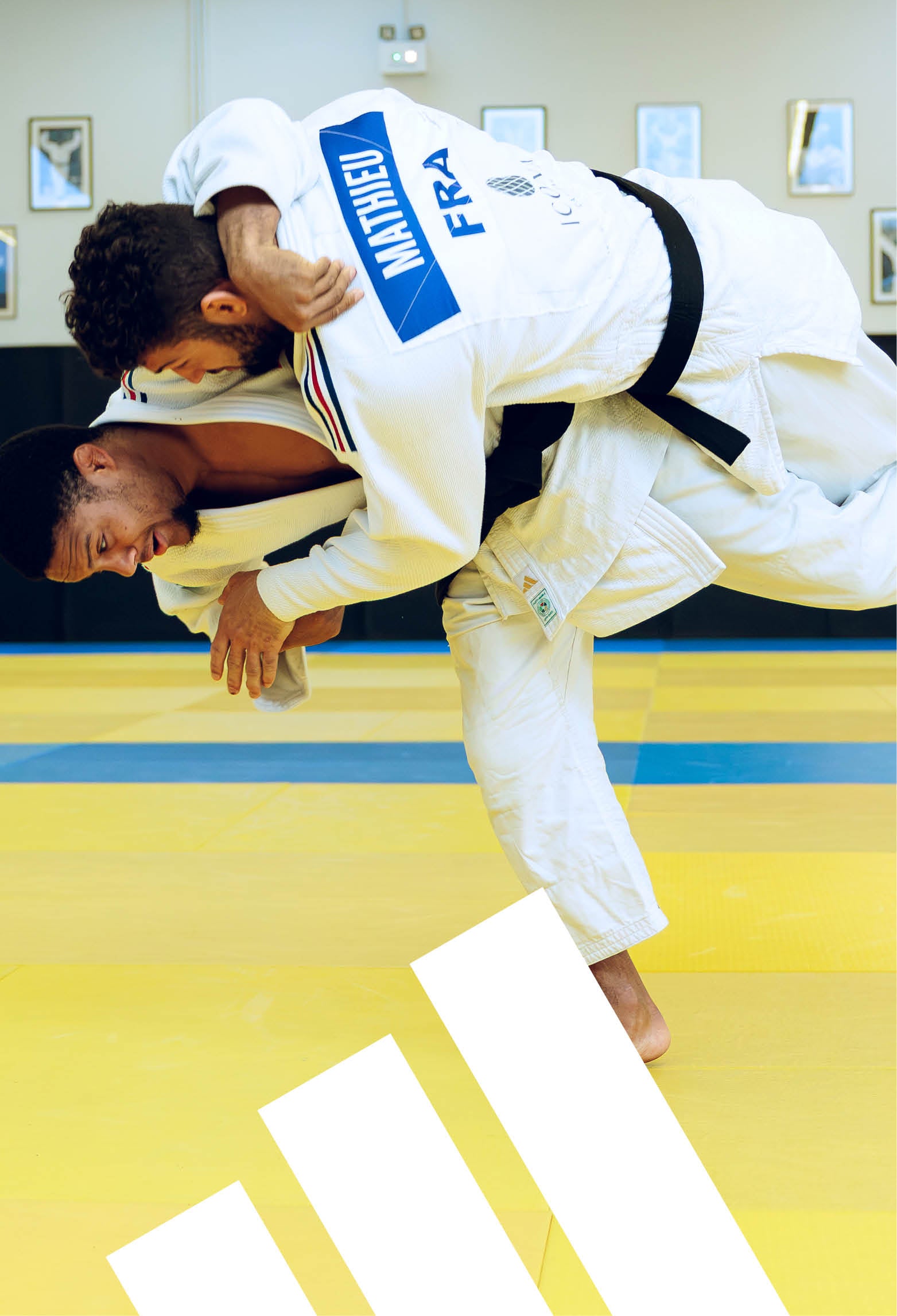 Banner Judo Vertical Boutique des Arts Martiaux