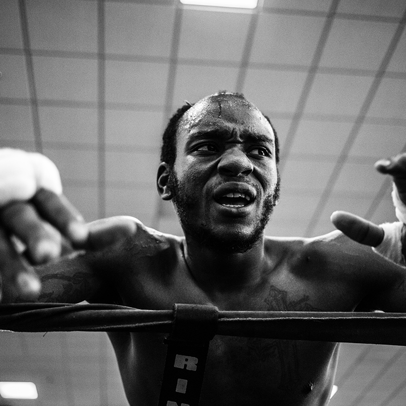 Boxe et Sports de Combat