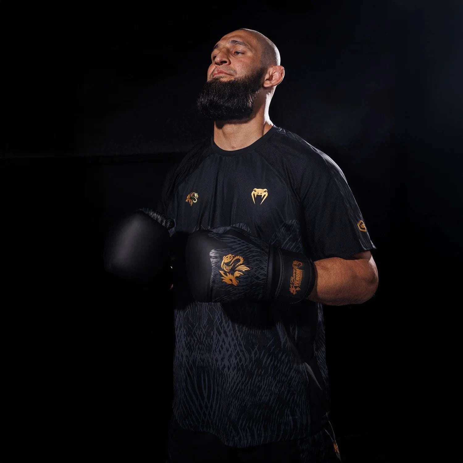 Gants boxe Venum x Chimaev Wild Borz Noir/Or – Édition Limitée