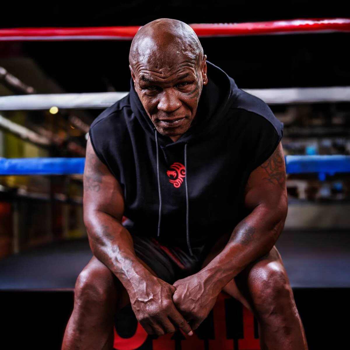 Sweat à capuche sans manches Venum x Mike Tyson noir rouge pour entraînement intense