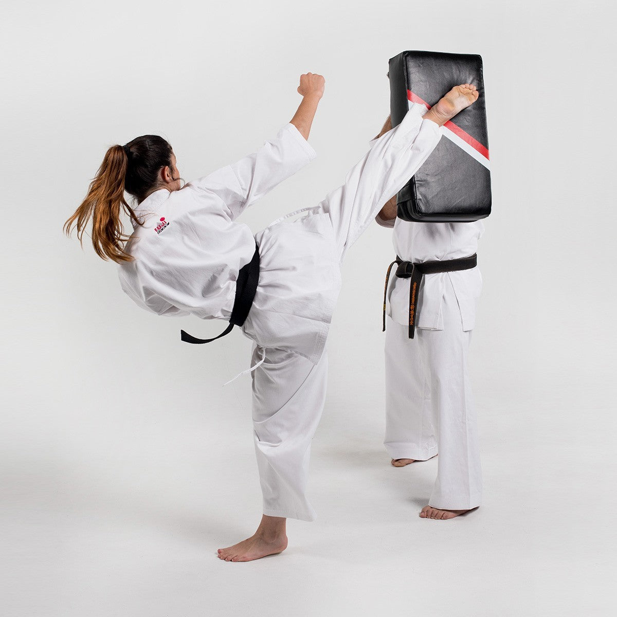 Bouclier de frappe Basic Line FUJIMAE 30301