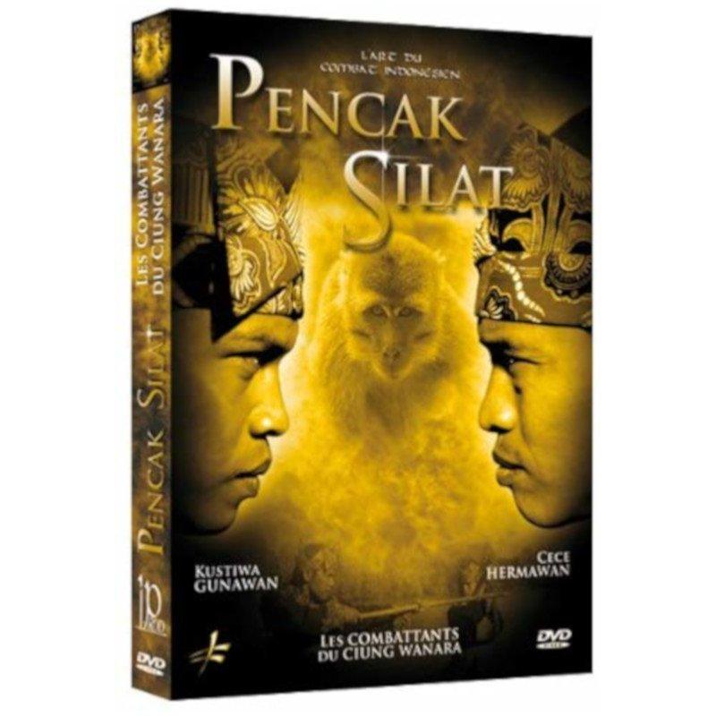 pencak-silat-les-combattants-du-ciung-wanara-vp-masberg