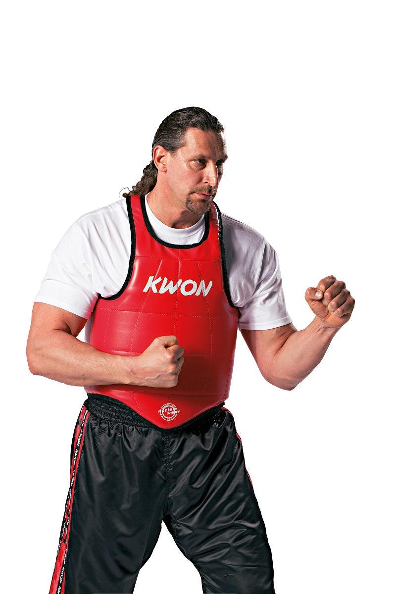plastron-reversible-wu-shu-kwon
