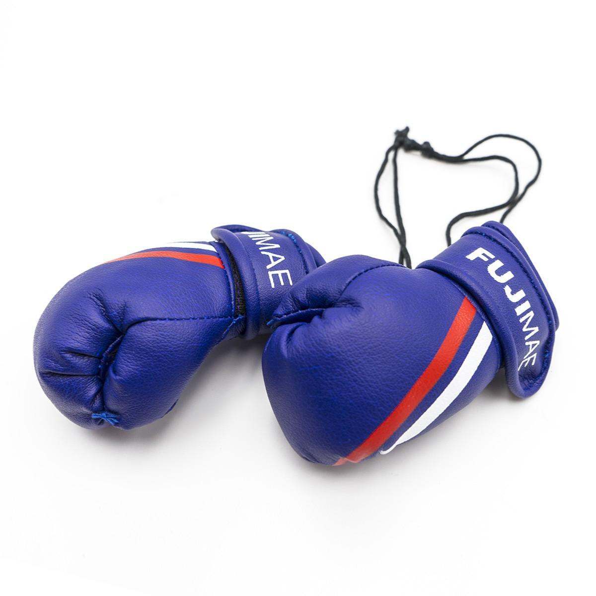 Mini gants de Boxe FUJIMAE - bleu