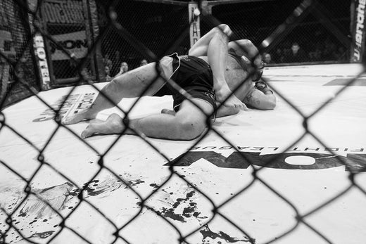 L'essor du MMA en France : Boutique des Arts Martiaux