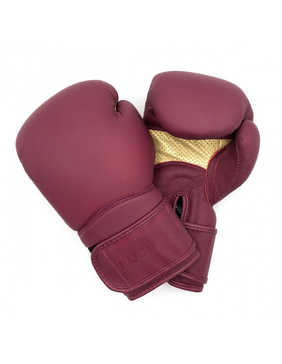 Gants Boxe FUJIMAE Advantage Cuir 2 QS