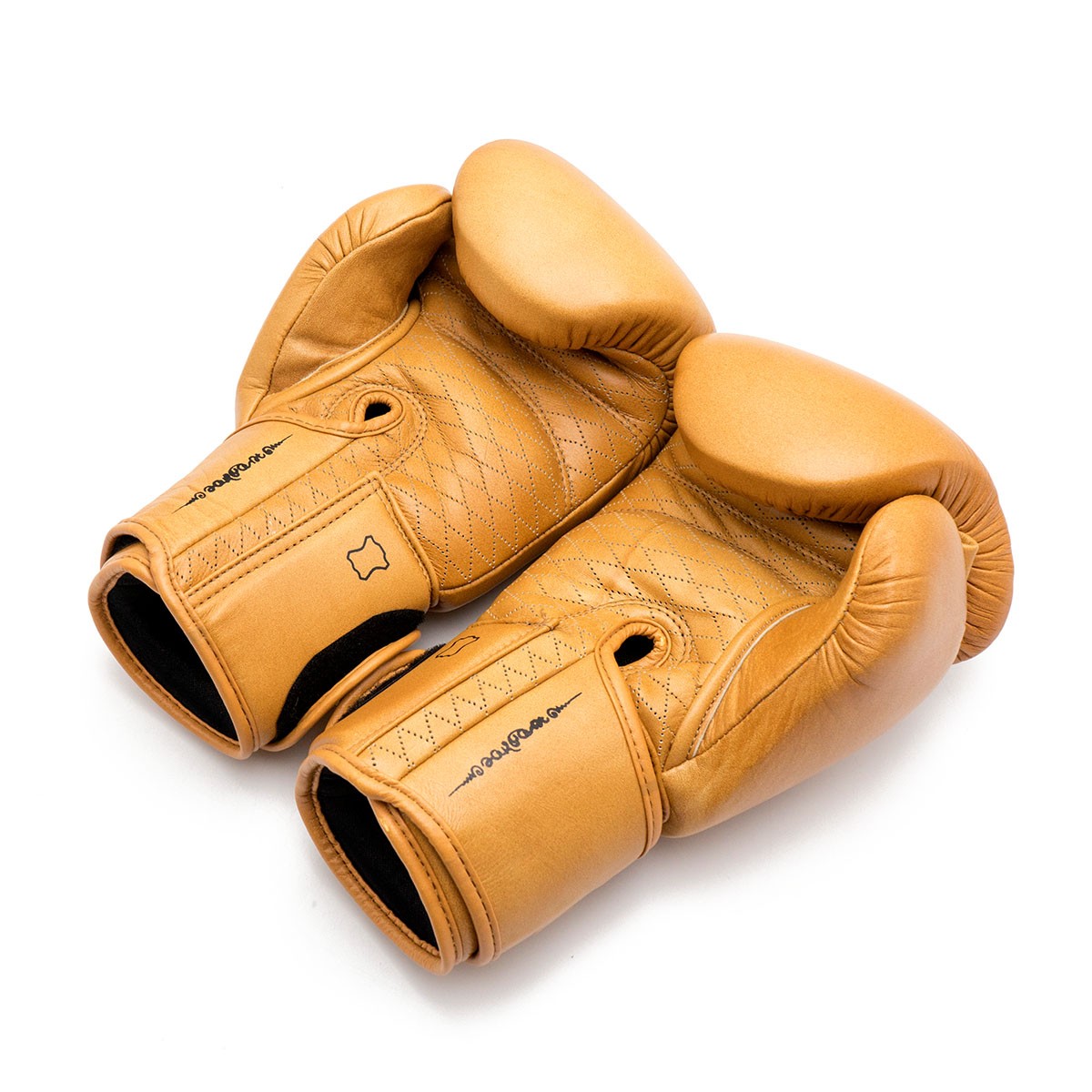 Gants de Boxe FUJIMAE Sakyant II - Marron