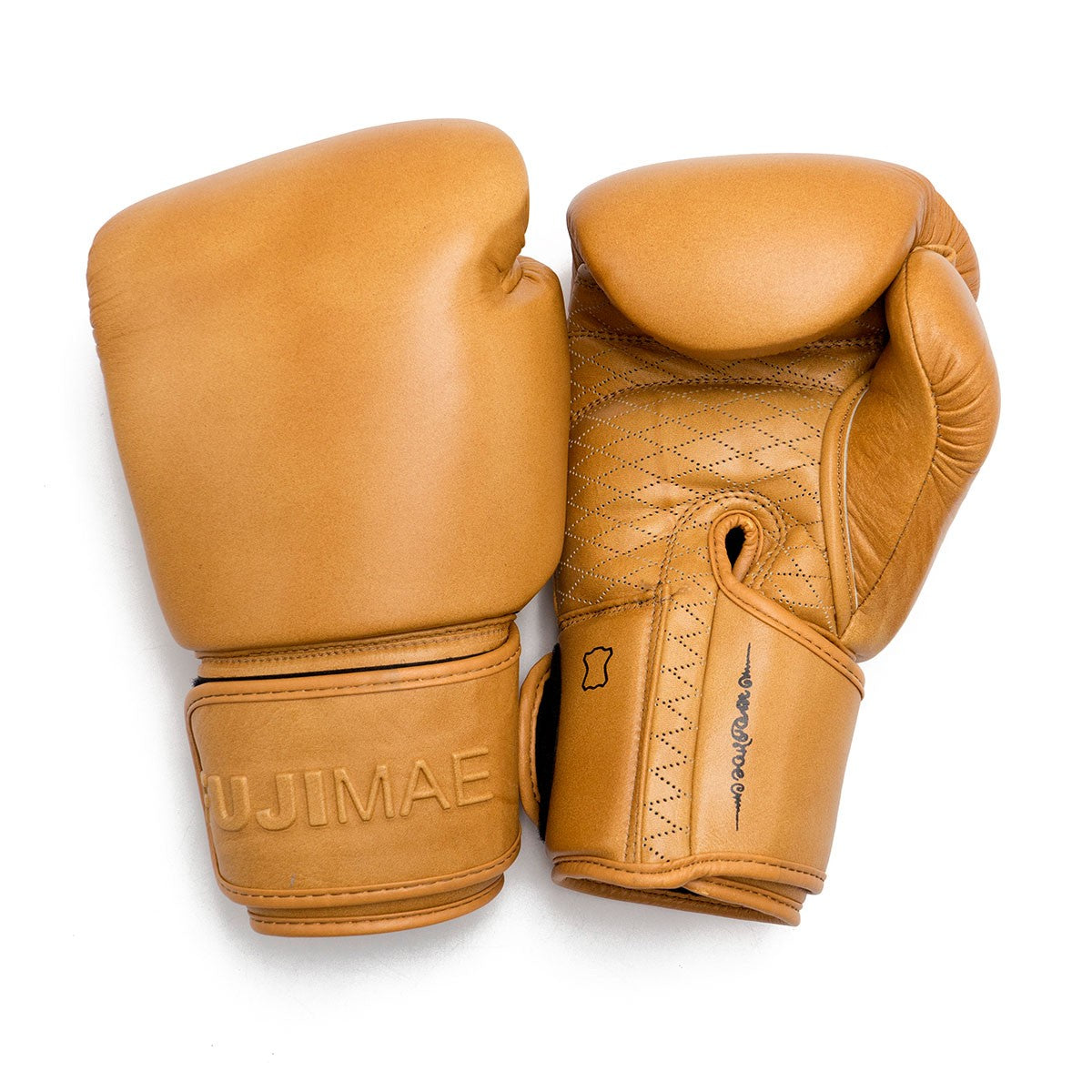 Gants de Boxe FUJIMAE Sakyant II - Marron