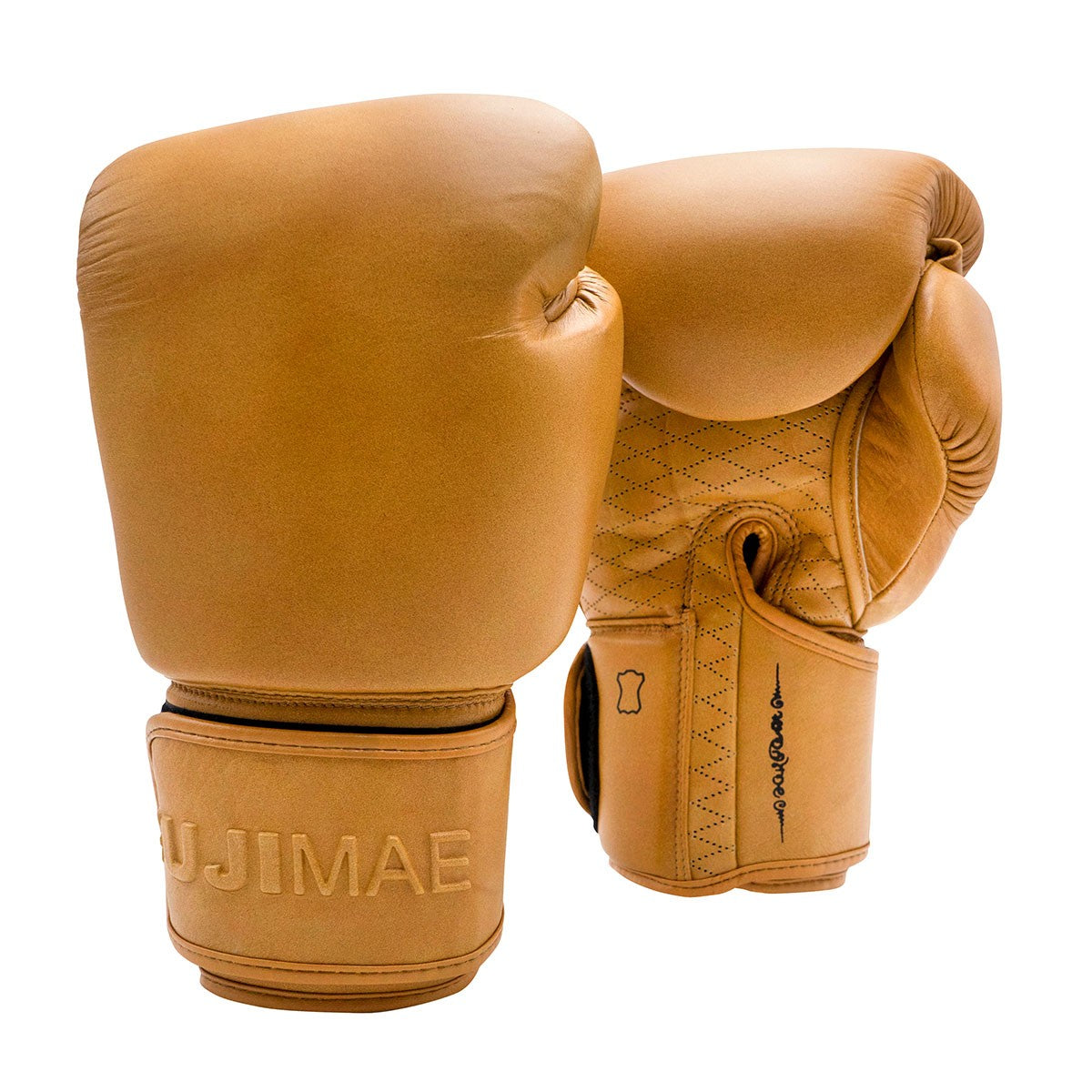 Gants de Boxe FUJIMAE Sakyant II - Marron