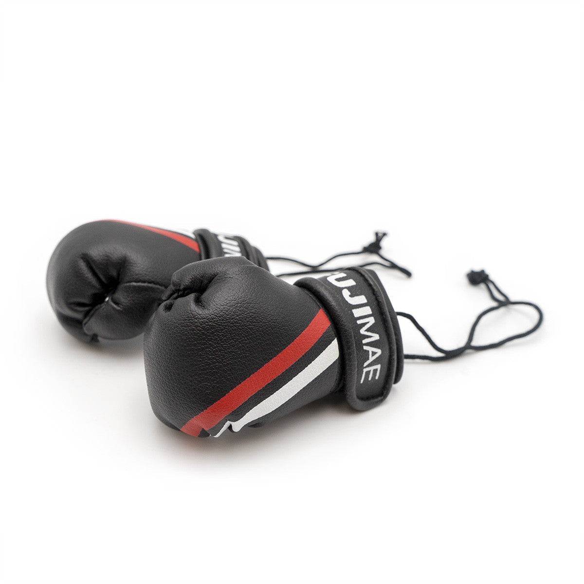 Mini gants de Boxe FUJIMAE noir
