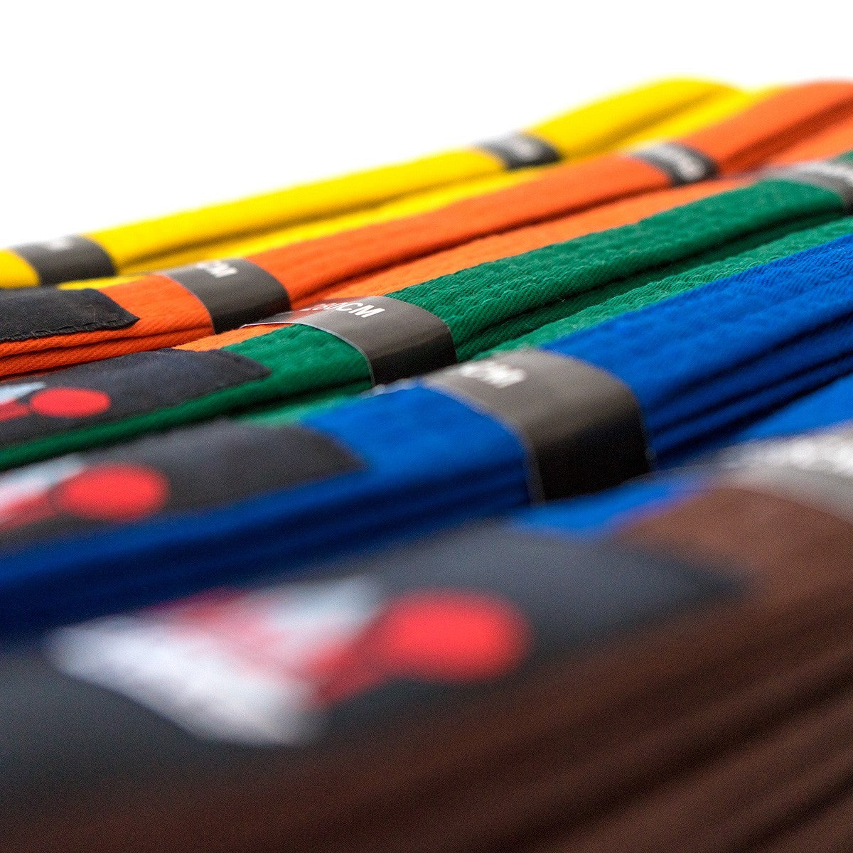 Ceintures bicolores FUJIMAE, combinaisons de couleurs pour grades intermédiaires