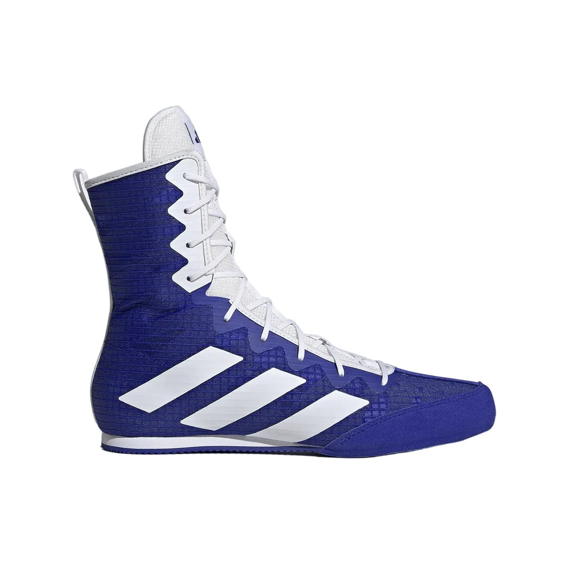 Chaussure de boxe anglaise adidas box hog 4 bleu