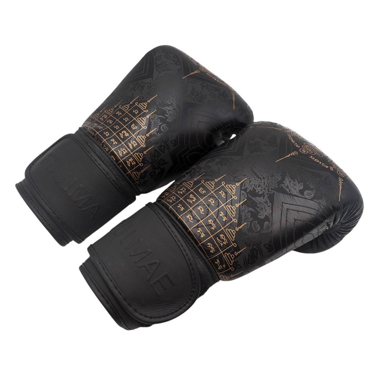 Gants de Boxe FUJIMAE Sakyant II - Retro Noir
