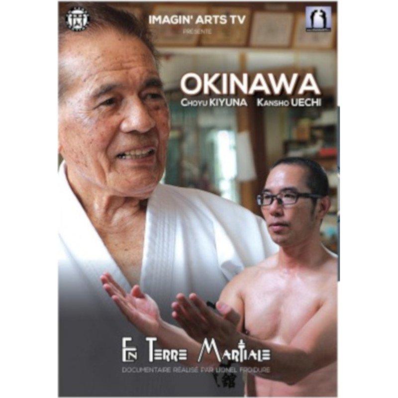 en-terre-martiale-okinawa-karate-imagin-arts